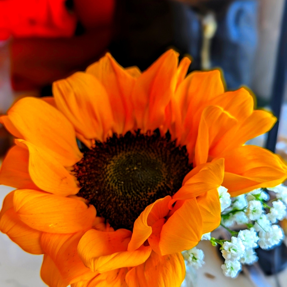 Meet your Posher, Sabrinaflann